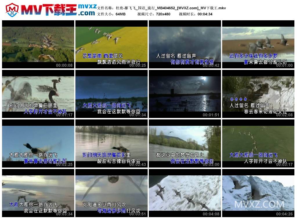 杜玫-雁飞飞_国语_流行_MB404652